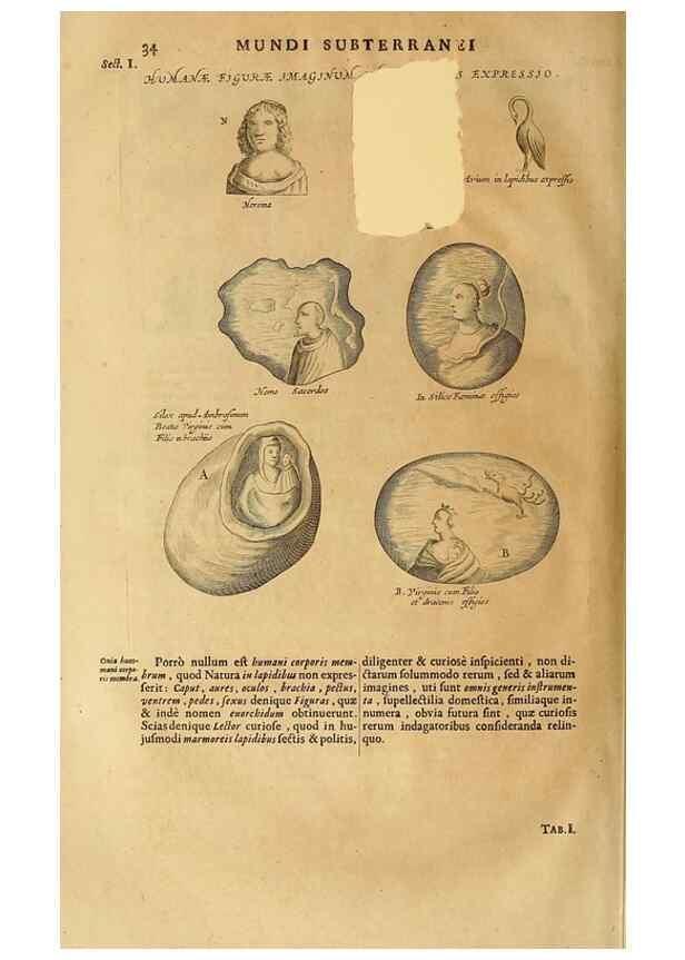 Reproducción/Reproduction 15048907183: Mundus subterraneus, in XII libros digestus :. Amstelodami :apud Joannem Janssonium à Waesberge & filios,1678.