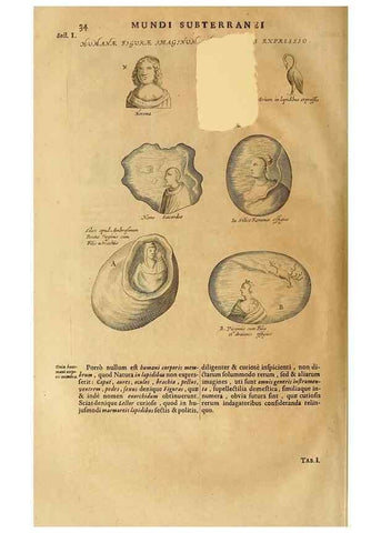 Reproducción/Reproduction 15048907183: Mundus subterraneus, in XII libros digestus :. Amstelodami :apud Joannem Janssonium à Waesberge & filios,1678.