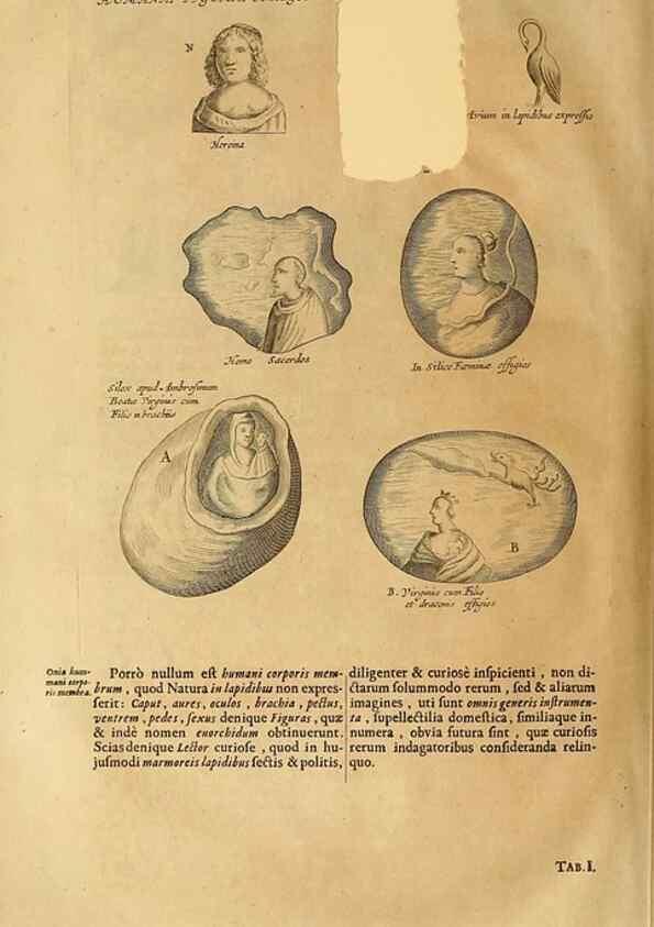 Reproducción/Reproduction 15048907183: Mundus subterraneus, in XII libros digestus :. Amstelodami :apud Joannem Janssonium à Waesberge & filios,1678.
