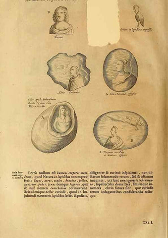 Reproducción/Reproduction 15048907183: Mundus subterraneus, in XII libros digestus :. Amstelodami :apud Joannem Janssonium à Waesberge & filios,1678.
