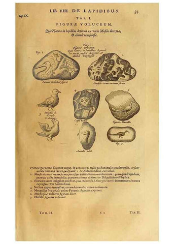 Reproducción/Reproduction 15048302184: Mundus subterraneus, in XII libros digestus :. Amstelodami :apud Joannem Janssonium à Waesberge & filios,1678.