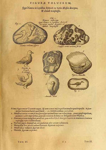 Reproducción/Reproduction 15048302184: Mundus subterraneus, in XII libros digestus :. Amstelodami :apud Joannem Janssonium à Waesberge & filios,1678.