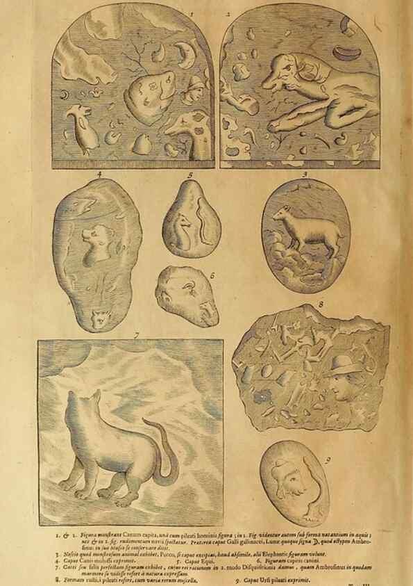 Reproducción/Reproduction 15482891928: Mundus subterraneus, in XII libros digestus :. Amstelodami :apud Joannem Janssonium à Waesberge & filios,1678.