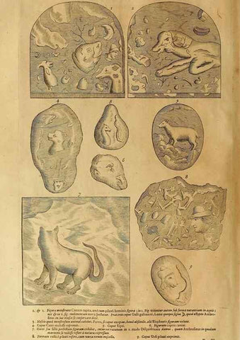 Reproducción/Reproduction 15482891928: Mundus subterraneus, in XII libros digestus :. Amstelodami :apud Joannem Janssonium à Waesberge & filios,1678.