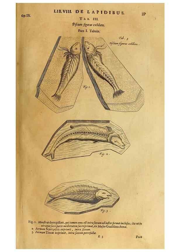 Reproducción/Reproduction 15048305974: Mundus subterraneus, in XII libros digestus :. Amstelodami :apud Joannem Janssonium à Waesberge & filios,1678.