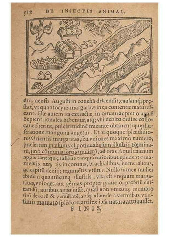 Reproducción/Reproduction 15449438899: Historiae de gentibus septentrionalibus /. Antverpiae :Apud Ioannem Bellerum,[ca. 1557]
