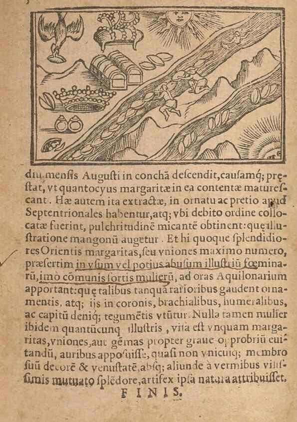 Reproducción/Reproduction 15449438899: Historiae de gentibus septentrionalibus /. Antverpiae :Apud Ioannem Bellerum,[ca. 1557]