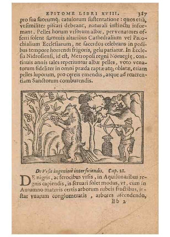 Reproducción/Reproduction 15449691628: Historiae de gentibus septentrionalibus /. Antverpiae :Apud Ioannem Bellerum,[ca. 1557]