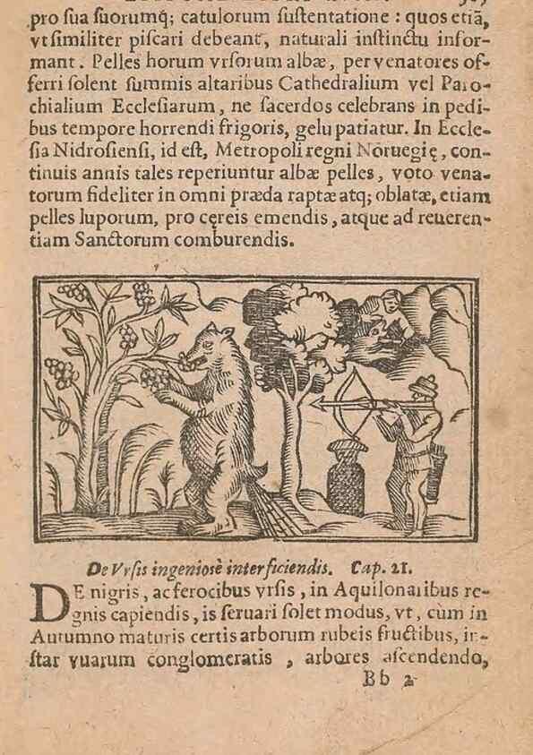 Reproducción/Reproduction 15449691628: Historiae de gentibus septentrionalibus /. Antverpiae :Apud Ioannem Bellerum,[ca. 1557]