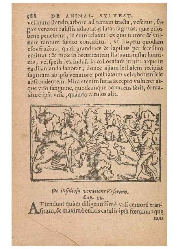 Reproducción/Reproduction 15449836457: Historiae de gentibus septentrionalibus /. Antverpiae :Apud Ioannem Bellerum,[ca. 1557]