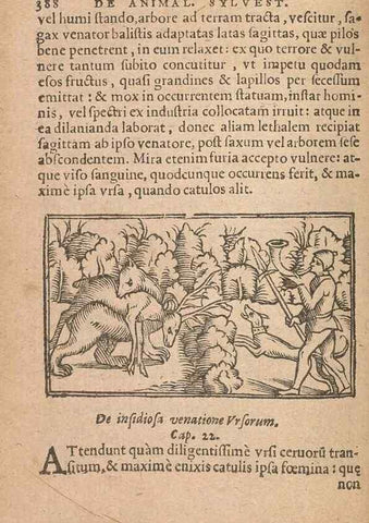 Reproducción/Reproduction 15449836457: Historiae de gentibus septentrionalibus /. Antverpiae :Apud Ioannem Bellerum,[ca. 1557]