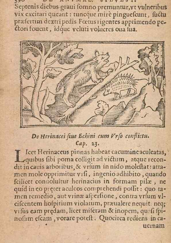 Reproducción/Reproduction 15015071064: Historiae de gentibus septentrionalibus /. Antverpiae :Apud Ioannem Bellerum,[ca. 1557]