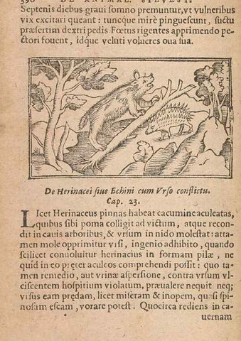 Reproducción/Reproduction 15015071064: Historiae de gentibus septentrionalibus /. Antverpiae :Apud Ioannem Bellerum,[ca. 1557]