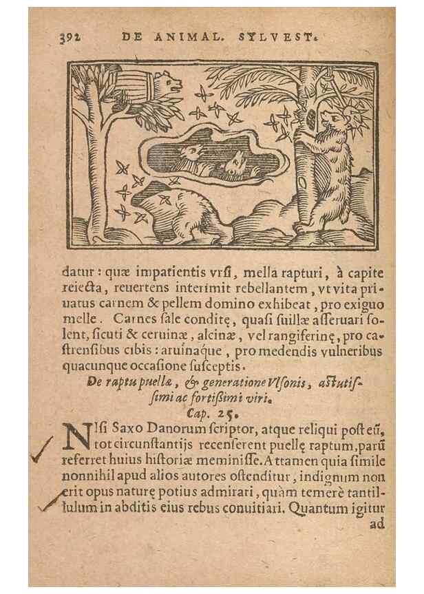 Reproducción/Reproduction 15633152461: Historiae de gentibus septentrionalibus /. Antverpiae :Apud Ioannem Bellerum,[ca. 1557]