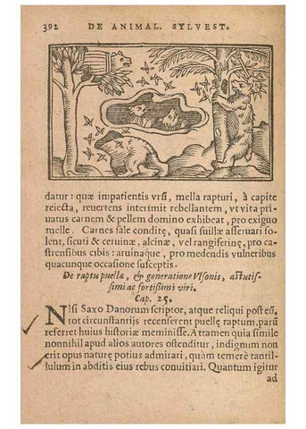 Reproducción/Reproduction 15633152461: Historiae de gentibus septentrionalibus /. Antverpiae :Apud Ioannem Bellerum,[ca. 1557]
