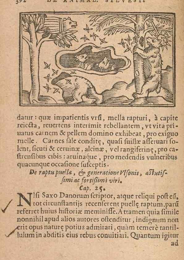 Reproducción/Reproduction 15633152461: Historiae de gentibus septentrionalibus /. Antverpiae :Apud Ioannem Bellerum,[ca. 1557]