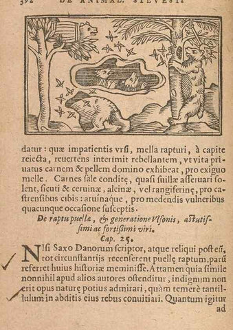 Reproducción/Reproduction 15633152461: Historiae de gentibus septentrionalibus /. Antverpiae :Apud Ioannem Bellerum,[ca. 1557]