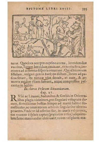 Reproducción/Reproduction 15636674172: Historiae de gentibus septentrionalibus /. Antverpiae :Apud Ioannem Bellerum,[ca. 1557]