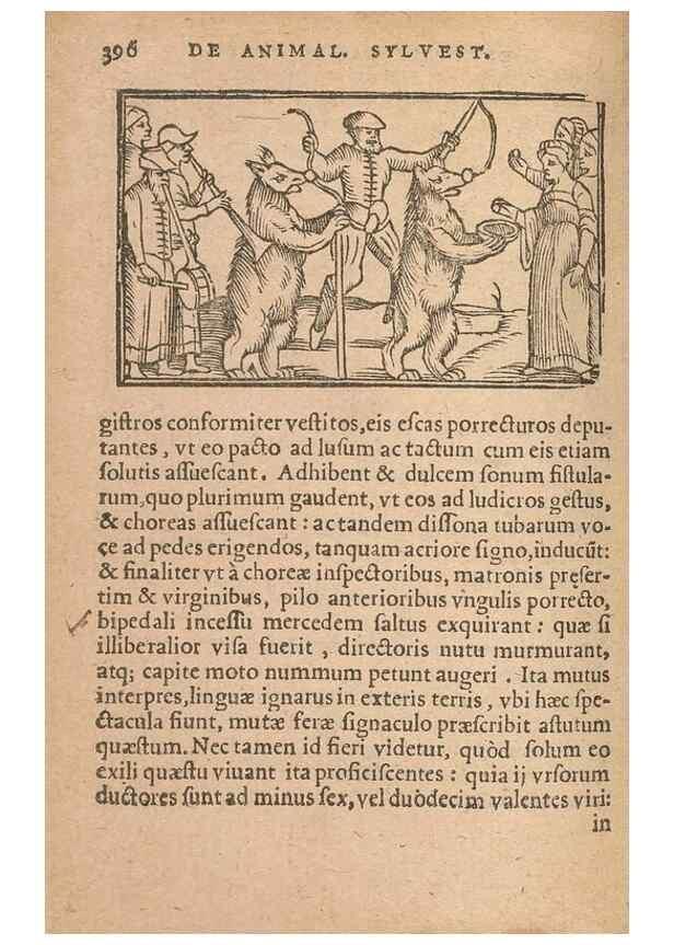 Reproducción/Reproduction 15450252500: Historiae de gentibus septentrionalibus /. Antverpiae :Apud Ioannem Bellerum,[ca. 1557]