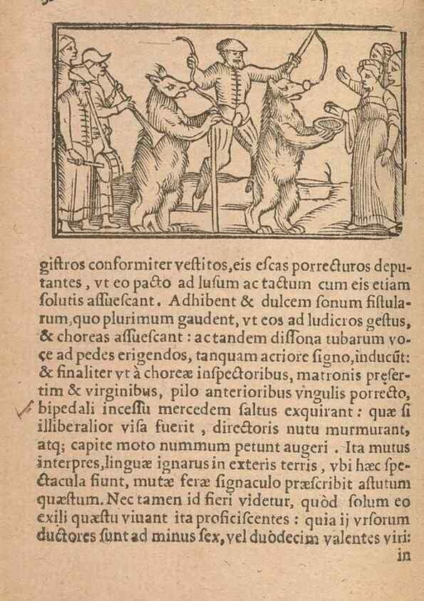 Reproducción/Reproduction 15450252500: Historiae de gentibus septentrionalibus /. Antverpiae :Apud Ioannem Bellerum,[ca. 1557]