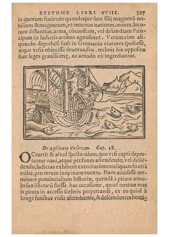 Reproducción/Reproduction 15612117276: Historiae de gentibus septentrionalibus /. Antverpiae :Apud Ioannem Bellerum,[ca. 1557]