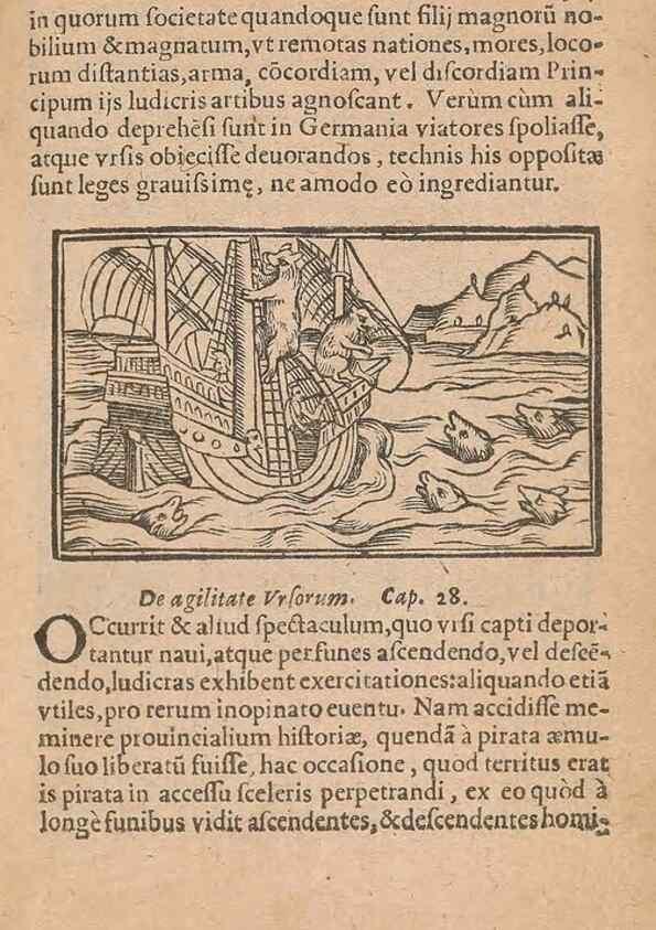 Reproducción/Reproduction 15612117276: Historiae de gentibus septentrionalibus /. Antverpiae :Apud Ioannem Bellerum,[ca. 1557]
