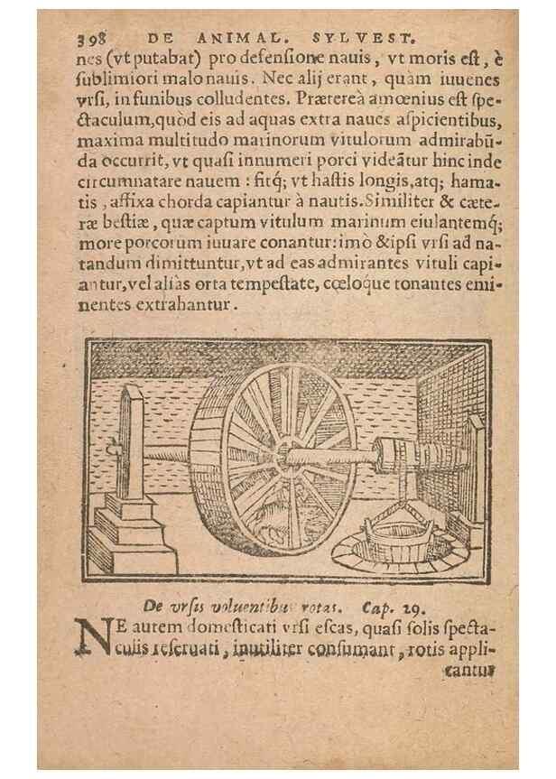 Reproducción/Reproduction 15015669693: Historiae de gentibus septentrionalibus /. Antverpiae :Apud Ioannem Bellerum,[ca. 1557]