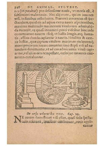 Reproducción/Reproduction 15015669693: Historiae de gentibus septentrionalibus /. Antverpiae :Apud Ioannem Bellerum,[ca. 1557]