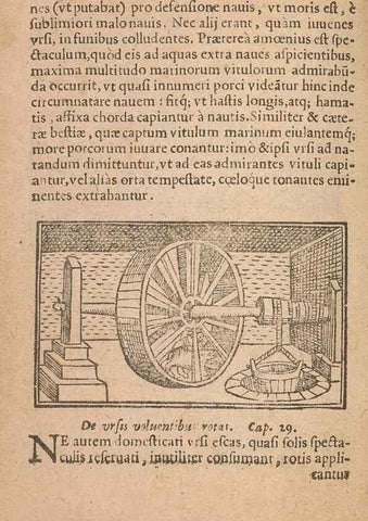 Reproducción/Reproduction 15015669693: Historiae de gentibus septentrionalibus /. Antverpiae :Apud Ioannem Bellerum,[ca. 1557]