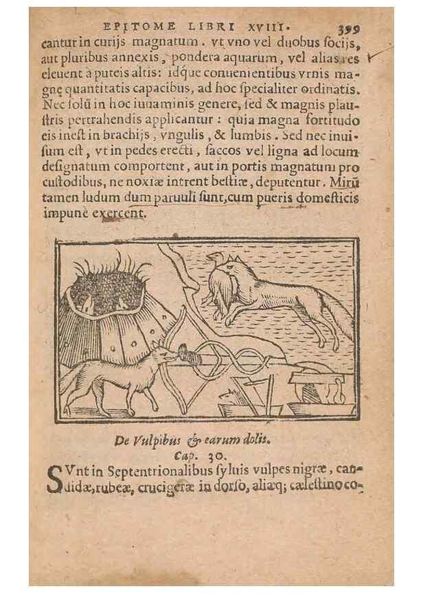 Reproducción/Reproduction 15450278540: Historiae de gentibus septentrionalibus /. Antverpiae :Apud Ioannem Bellerum,[ca. 1557]