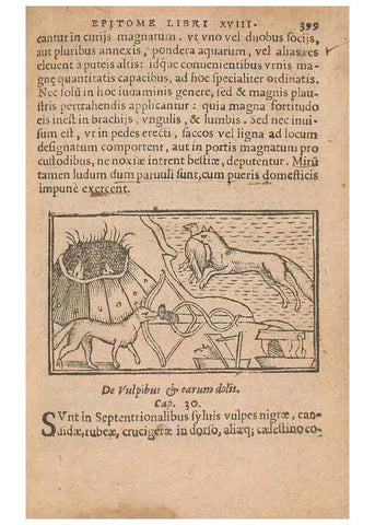 Reproducción/Reproduction 15450278540: Historiae de gentibus septentrionalibus /. Antverpiae :Apud Ioannem Bellerum,[ca. 1557]