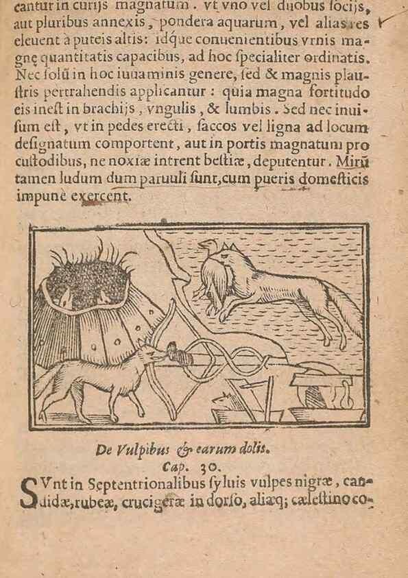 Reproducción/Reproduction 15450278540: Historiae de gentibus septentrionalibus /. Antverpiae :Apud Ioannem Bellerum,[ca. 1557]