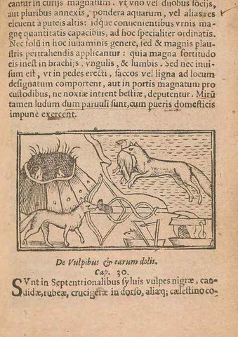 Reproducción/Reproduction 15450278540: Historiae de gentibus septentrionalibus /. Antverpiae :Apud Ioannem Bellerum,[ca. 1557]