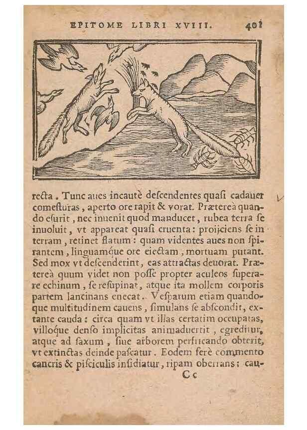Reproducción/Reproduction 15612143886: Historiae de gentibus septentrionalibus /. Antverpiae :Apud Ioannem Bellerum,[ca. 1557]