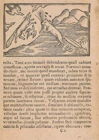 Reproducción/Reproduction 15612143886: Historiae de gentibus septentrionalibus /. Antverpiae :Apud Ioannem Bellerum,[ca. 1557]