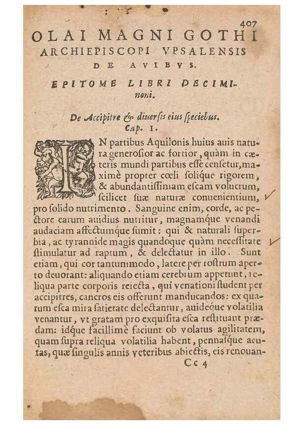 Reproducción/Reproduction 15635870315: Historiae de gentibus septentrionalibus /. Antverpiae :Apud Ioannem Bellerum,[ca. 1557]
