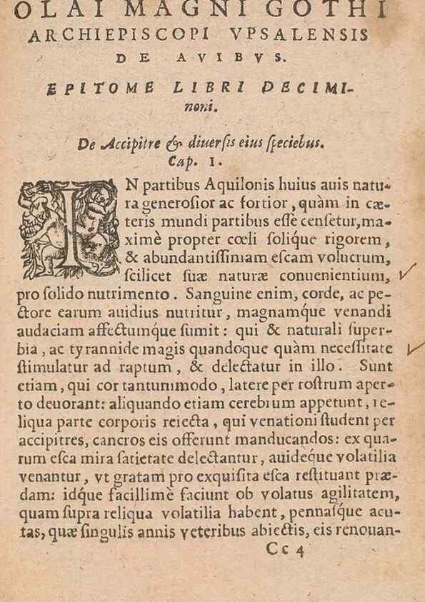 Reproducción/Reproduction 15635870315: Historiae de gentibus septentrionalibus /. Antverpiae :Apud Ioannem Bellerum,[ca. 1557]