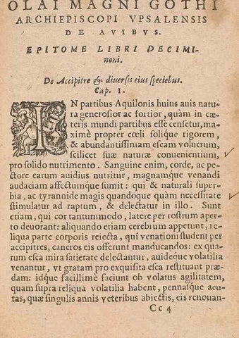 Reproducción/Reproduction 15635870315: Historiae de gentibus septentrionalibus /. Antverpiae :Apud Ioannem Bellerum,[ca. 1557]