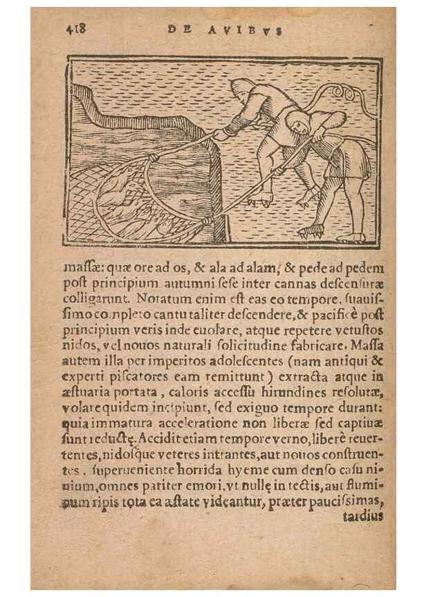 Reproducción/Reproduction 15612148546: Historiae de gentibus septentrionalibus /. Antverpiae :Apud Ioannem Bellerum,[ca. 1557]