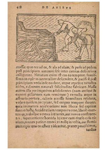 Reproducción/Reproduction 15612148546: Historiae de gentibus septentrionalibus /. Antverpiae :Apud Ioannem Bellerum,[ca. 1557]