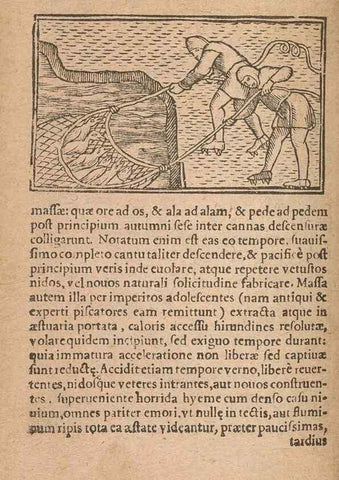 Reproducción/Reproduction 15612148546: Historiae de gentibus septentrionalibus /. Antverpiae :Apud Ioannem Bellerum,[ca. 1557]
