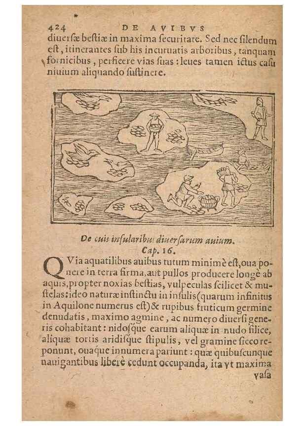 Reproducción/Reproduction 15015125694: Historiae de gentibus septentrionalibus /. Antverpiae :Apud Ioannem Bellerum,[ca. 1557]
