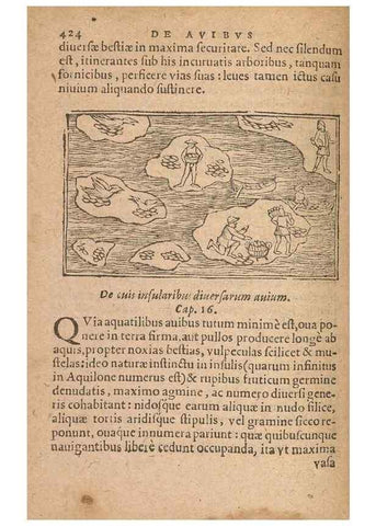 Reproducción/Reproduction 15015125694: Historiae de gentibus septentrionalibus /. Antverpiae :Apud Ioannem Bellerum,[ca. 1557]