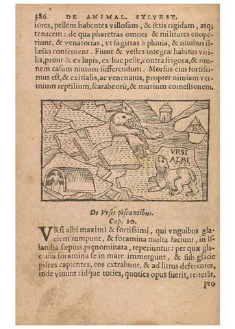 Reproducción/Reproduction 15635811325: Historiae de gentibus septentrionalibus /. Antverpiae :Apud Ioannem Bellerum,[ca. 1557]