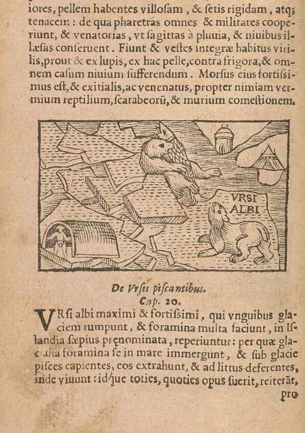 Reproducción/Reproduction 15635811325: Historiae de gentibus septentrionalibus /. Antverpiae :Apud Ioannem Bellerum,[ca. 1557]