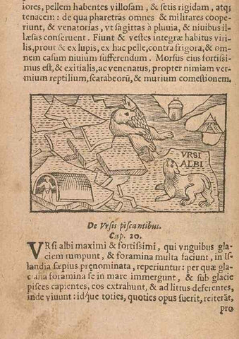 Reproducción/Reproduction 15635811325: Historiae de gentibus septentrionalibus /. Antverpiae :Apud Ioannem Bellerum,[ca. 1557]