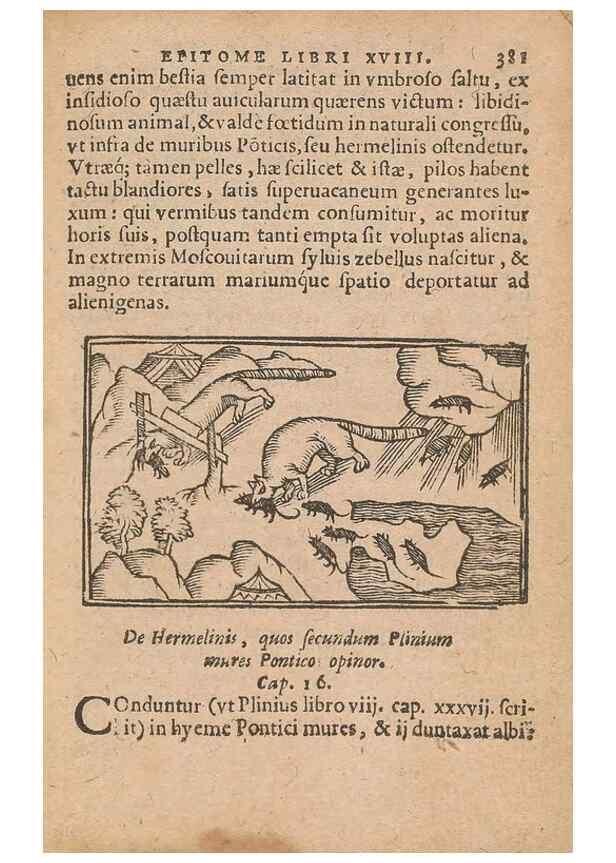 Reproducción/Reproduction 15449809127: Historiae de gentibus septentrionalibus /. Antverpiae :Apud Ioannem Bellerum,[ca. 1557]