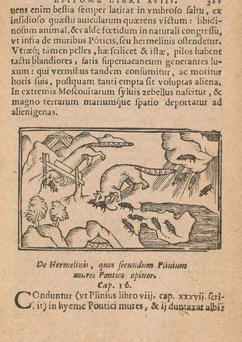 Reproducción/Reproduction 15449809127: Historiae de gentibus septentrionalibus /. Antverpiae :Apud Ioannem Bellerum,[ca. 1557]