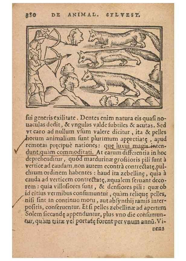 Reproducción/Reproduction 15633111011: Historiae de gentibus septentrionalibus /. Antverpiae :Apud Ioannem Bellerum,[ca. 1557]