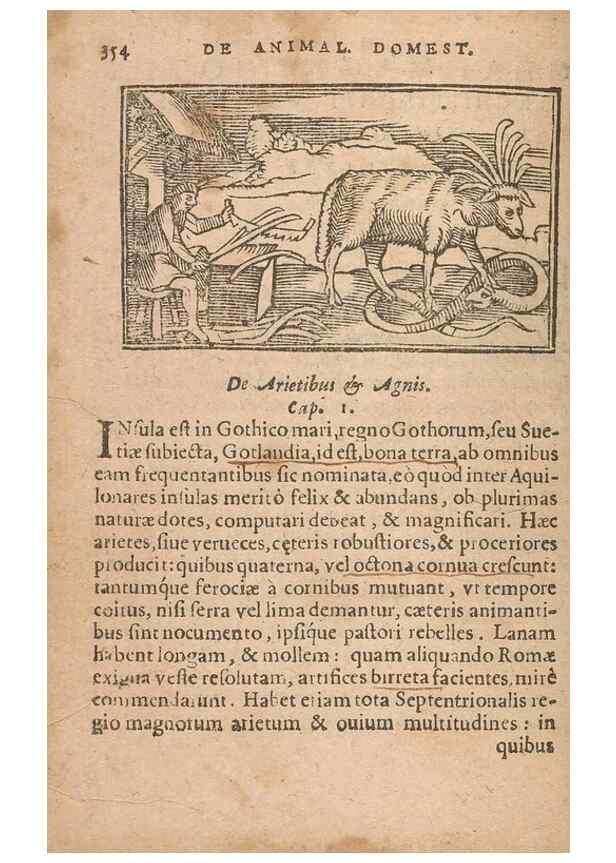 Reproducción/Reproduction 15015529263: Historiae de gentibus septentrionalibus /. Antverpiae :Apud Ioannem Bellerum,[ca. 1557]